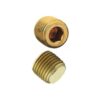 1/8" NPT M In-Hex Plug