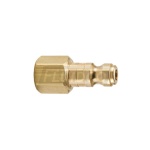 1/4" 10 Series Brass Insert 1/4" NPT Female Thread