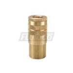 1/4" 20 Series Body 1/4" NPT Female Thread